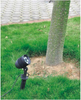 Osram LED Garden Tree Light Light Lighting 6W