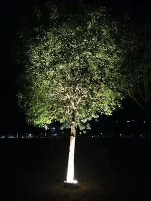 Iluminación de jardín al aire libre IP65 6W 8W 12W Luz de árbol de decoración