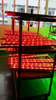 RGB Luz exterior LED COLOR LED Lavadora de pared con CE RoHS CCC ISO901 aprobado