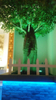 Iluminación de jardín al aire libre IP65 6W 8W 12W Luz de árbol de decoración
