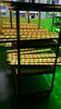 Cambio de color de alta eficiencia CAMBIO LED LED al aire libre 36W Lavadora de pared de pared